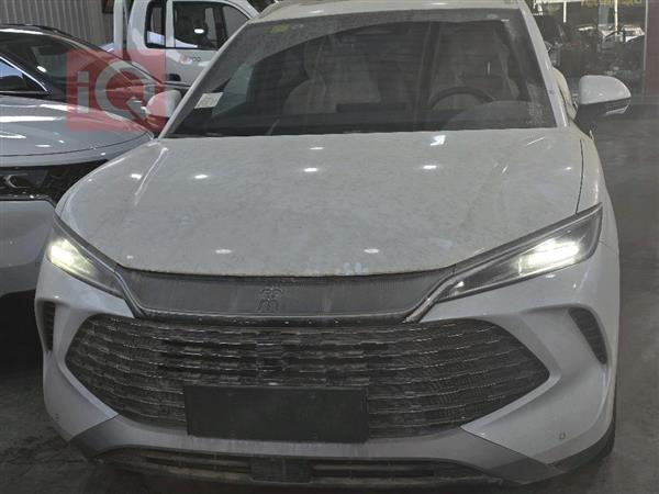 بي واي دي سونغ L DM-i 2025 للبيع في العراق -  بغداد